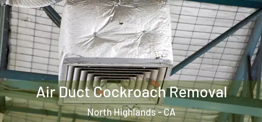Air Duct Cockroach Removal North Highlands - CA