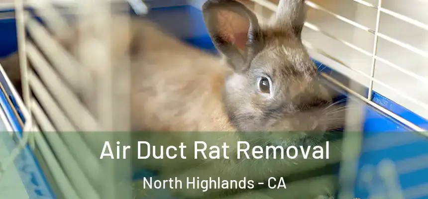  Air Duct Rat Removal North Highlands - CA