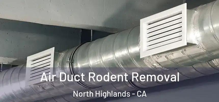 Air Duct Rodent Removal North Highlands - CA