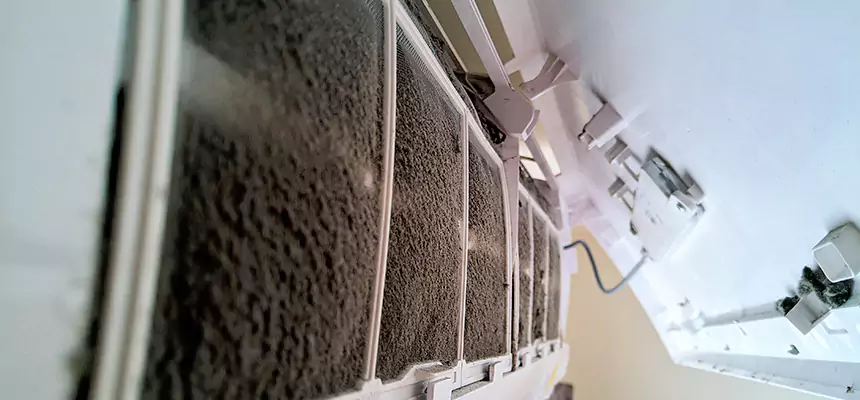 Preventive Air Duct Bacteria Removal in North Highlands