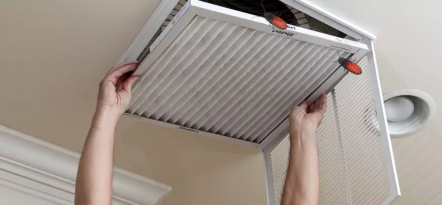 Our Insect Removal from Air Ducts Services in North Highlands, CA