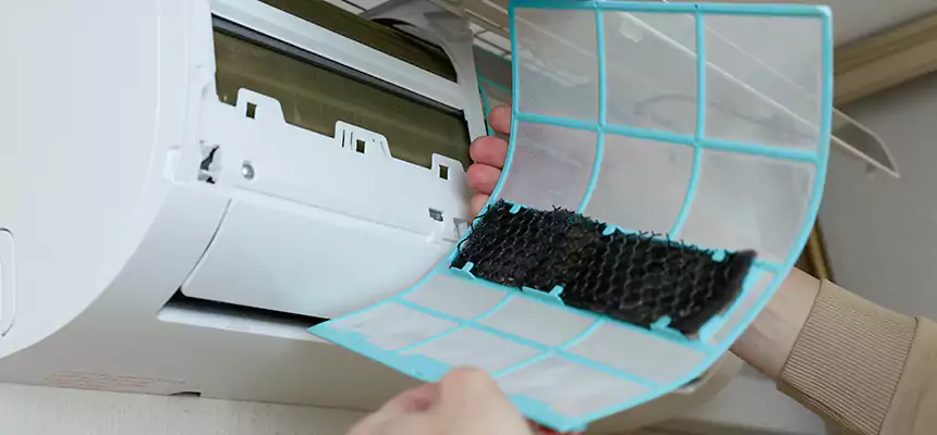 Gentle Ductwork Odor-Control Pet Dander Duct Cleaning in North Highlands, CA