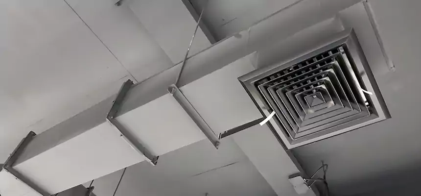 Our Rodent Droppings In Vents Services in North Highlands, CA