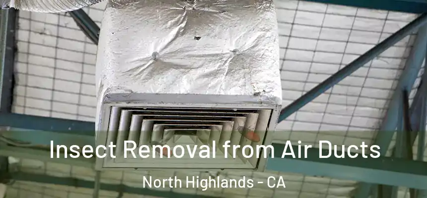  Insect Removal from Air Ducts North Highlands - CA