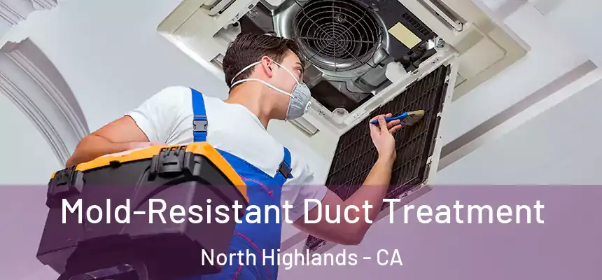 Mold-Resistant Duct Treatment North Highlands - CA