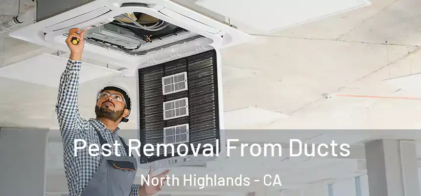 Pest Removal From Ducts North Highlands - CA