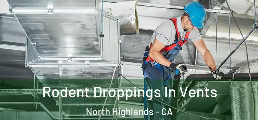 Rodent Droppings In Vents North Highlands - CA