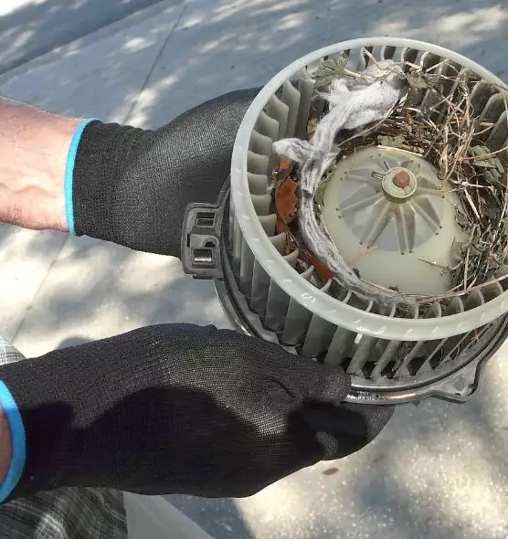 About Air Duct Rat Removal in North Highlands, CA