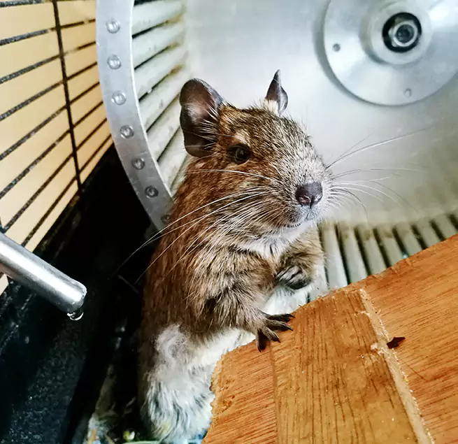 Why Homeowners & Businesses Trust Us North Highlands, CA?